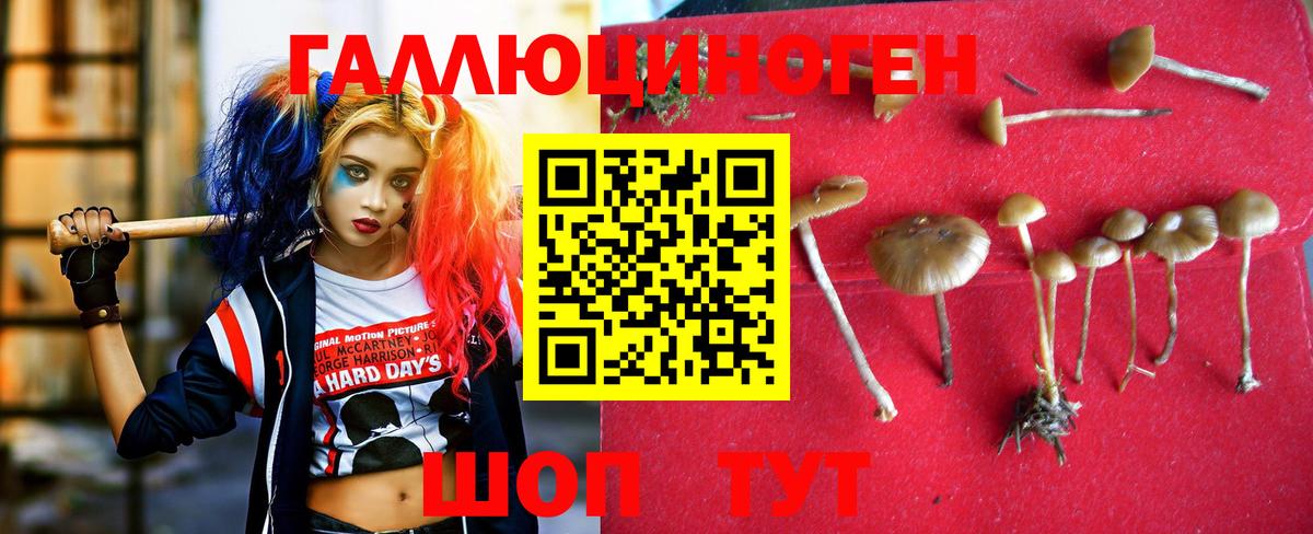 Где продают наркотики?  Марихуана  Alpha PVP СОЛЬ   Меф   ГАШИШ  ГАШ  Рославль  Вход с VPN 