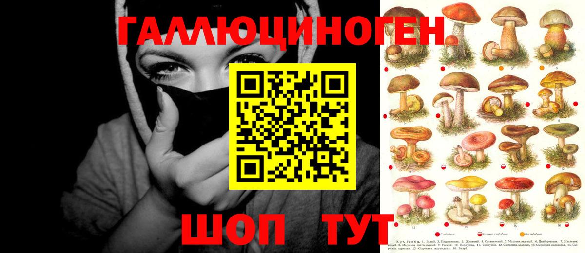 Галлюциногенные грибы Psilocybe  Вход с VPN  Рославль 